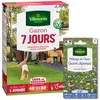 Image de Gazon 7 jours - 1 kg + Gazon Japonais - 4 m² - Mélange de fleurs | Vilmorin Jardin