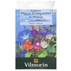 Image de 5860642 Pack De Graines Fleur Grimpante