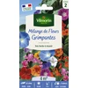 Image de Fleurs Grimpantes - 4 m² - Mélange de fleurs | Vilmorin Jardin
