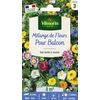 Image de Fleurs Annuelles pour Balcons - 4 m² - Mélange de fleurs | Vilmorin Jardin