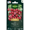 Image de Radis Tinto HF1 - Graines d'Exception | Vilmorin Jardin