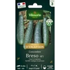 Image de Concombre Breso HF1 - Graines d'Exception | Vilmorin Jardin