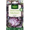 Image de Chicorée à Feuilles Palla Rossa 6 | Vilmorin Jardin