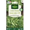 Image de Laitue Batavia Great Lakes 119 | Vilmorin Jardin