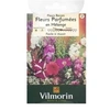 Image de Fleurs Parfumees Melange Vilmorin