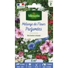 Image de Fleurs Parfumées - 4 m² - Mélange de fleurs | Vilmorin Jardin