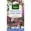 Image de Fleurs Vivaces Hautes - 4 m² - Mélange de fleurs | Vilmorin Jardin
