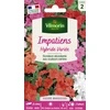 Image de Impatiens Hybride Variée | Vilmorin Jardin