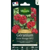 Image de Géranium Eclat Rouge HF2 - Graines d'Exception | Vilmorin Jardin