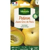 Image de Potiron Jaune Gros de Paris | Vilmorin Jardin