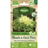 Image de Chicorée Scarole Blonde à Coeur Plein - BIO | Vilmorin Jardin