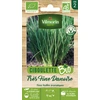 Image de Ciboulette Très Fine Danoise - BIO | Vilmorin Jardin