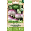 Image de Navet-Légume de Milan Rouge Extra Hâtif à Châssis - BIO | Vilmorin Jardin