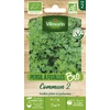 Image de Persil Commun 2 - BIO | Vilmorin Jardin