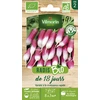 Image de Radis de 18 Jours - BIO | Vilmorin Jardin