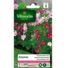 Image de 5247543 Pack De Graines Cosmos Sensation Nain Varié