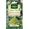 Image de Chou Brocoli Romanesco Précoce - Légumes d'Autrefois | Vilmorin Jardin