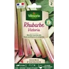 Image de Rhubarbe Victoria - Légumes d'Autrefois | Vilmorin Jardin