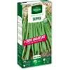 Image de Haricot Nain Vert Skipper + 20 g Offert | Vilmorin Jardin