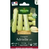 Image de Courgette Adrielle HF1 - Graines d'Exception | Vilmorin Jardin