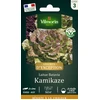 Image de Laitue Batavia Kamikaze - Graines d'Exception | Vilmorin Jardin
