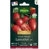 Image de Tomate Lancelot HF1 - Graines d'Exception | Vilmorin Jardin