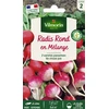 Image de Radis Ronds en mélange | Vilmorin Jardin