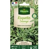 Image de Roquette Sauvage - Légumes d'Autrefois | Vilmorin Jardin