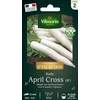 Image de Radis Japonais April Cross HF1 - Graines d'Exception | Vilmorin Jardin