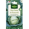 Image de Chou Blanc de Brunswick | Vilmorin Jardin