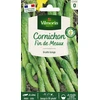 Image de Cornichon Fin de Meaux | Vilmorin Jardin