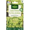 Image de Laitue Pommée du Bon Jardinier | Vilmorin Jardin