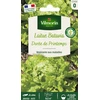 Image de Laitue Batavia Dorée de Printemps | Vilmorin Jardin