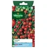 Image de Sachet graines Tomate cerise