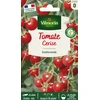 Image de Tomate Cerise | Vilmorin Jardin