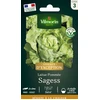 Image de Laitue Pommée Sagess - Graines d'Exception | Vilmorin Jardin