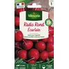 Image de Radis Rond Ecarlate | Vilmorin Jardin