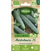 Image de Concombre Marketmore 76 - BIO | Vilmorin Jardin