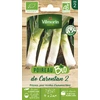 Image de Poireau de Carentan 2 - BIO | Vilmorin Jardin