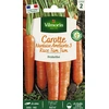 Image de Carotte Nantaise Améliorée 3 race Tam Tam | Vilmorin Jardin