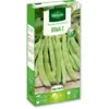 Image de Haricot Nain Vert Plat Roma 2 | Vilmorin Jardin