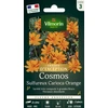 Image de Cosmos Sulphureus Carioca - Graines d'Exception | Vilmorin Jardin