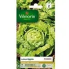 Image de 3600142 Pack De Graines Laitue Pommée Appia