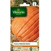 Image de 3860442 Pack De Graines Potiron Atlantic Giant Fruits Enormes