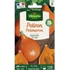 Image de Potiron Potimarron | Vilmorin Jardin