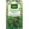 Image de Marjolaine Annuelle | Vilmorin Jardin