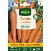 Image de Carotte Touchon - Grand Modèle | Vilmorin Jardin