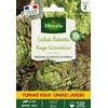 Image de Laitue Batavia Rouge Grenobloise - Grand Modèle | Vilmorin Jardin