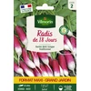Image de Radis de 18 Jours - Grand Modèle | Vilmorin Jardin