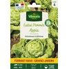 Image de Laitue Pommée Appia - Grand Modèle | Vilmorin Jardin
